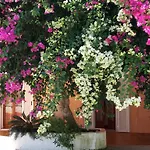 κωνσταντίνος Διαμέρισμα *