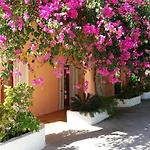 Constantinos * Lassi (Kefalonia)