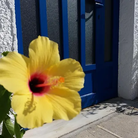 Constantinos Apartmán Lassi (Kefalonia)