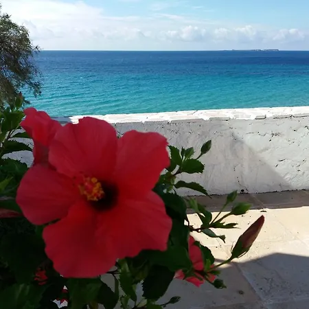 Apartment Constantinos