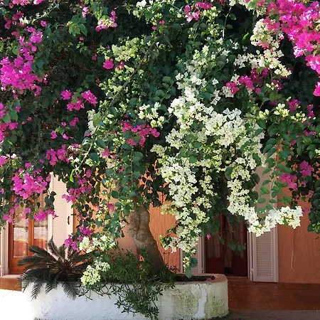 Constantinos Apartment *