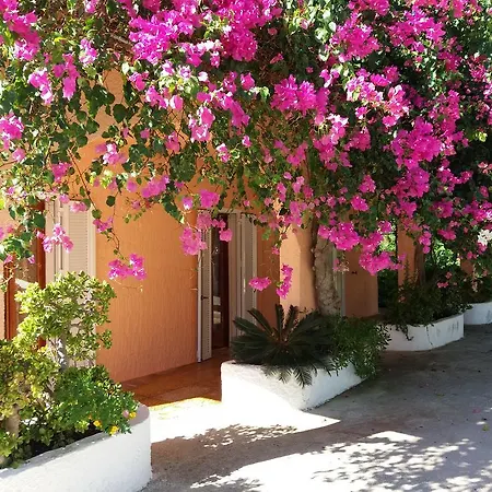 Constantinos * Lassi (Kefalonia)