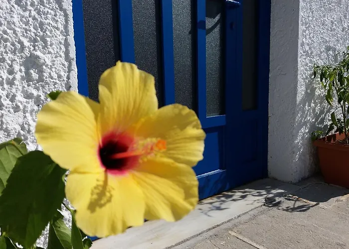 Constantinos דירה לאסי