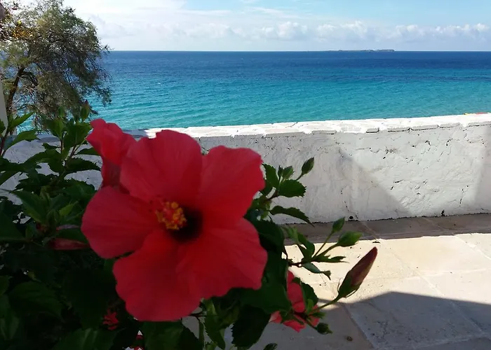 דירה Constantinos