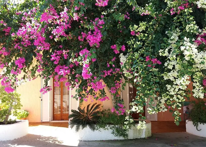 Constantinos * לאסי