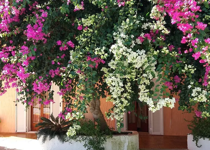 Constantinos דירה *